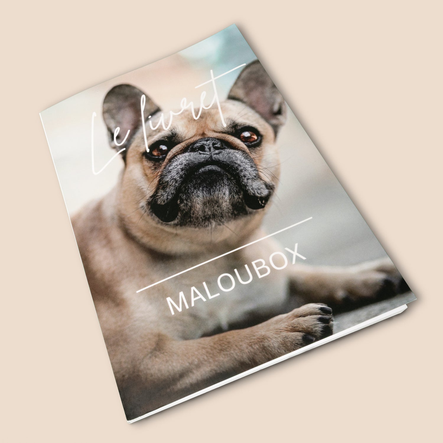 Guide de premiers secours naturels Maloubox pour chien et chat avec conseils simples et pratiques