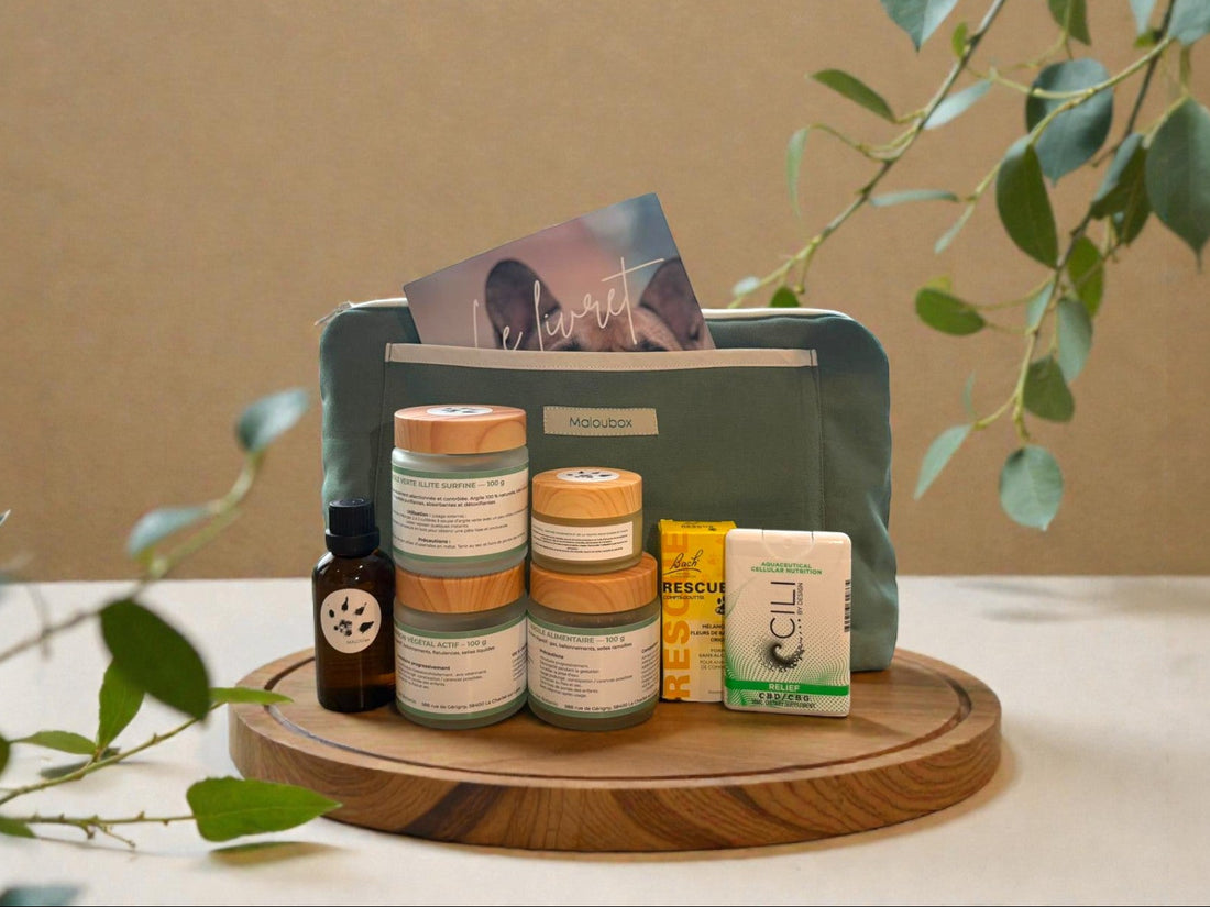 Maloubox trousse d’urgence naturelle pour les bobos du quotidien pour chien et chat avec produits naturels et livre